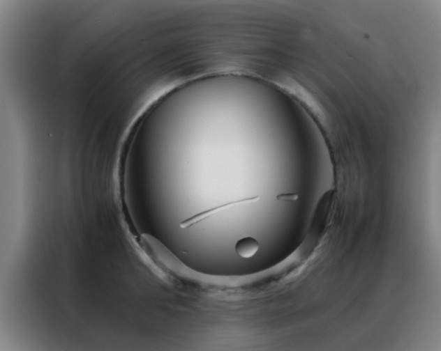 X0000088130902200705211113