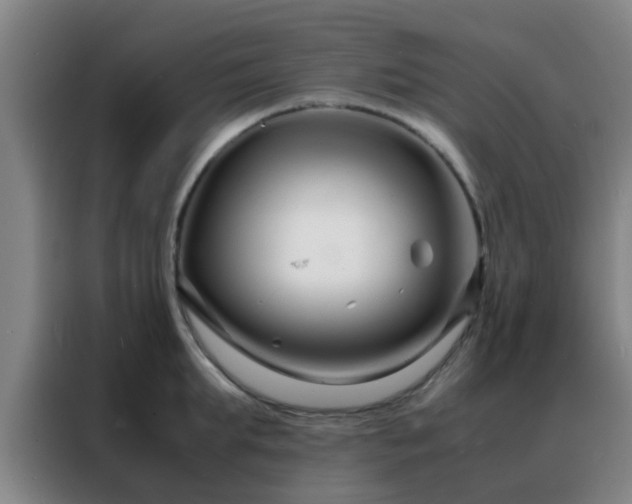 X0000088130903200705211113