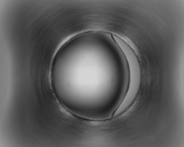 X0000088130904200705211113