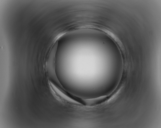 X0000088130905200705211113