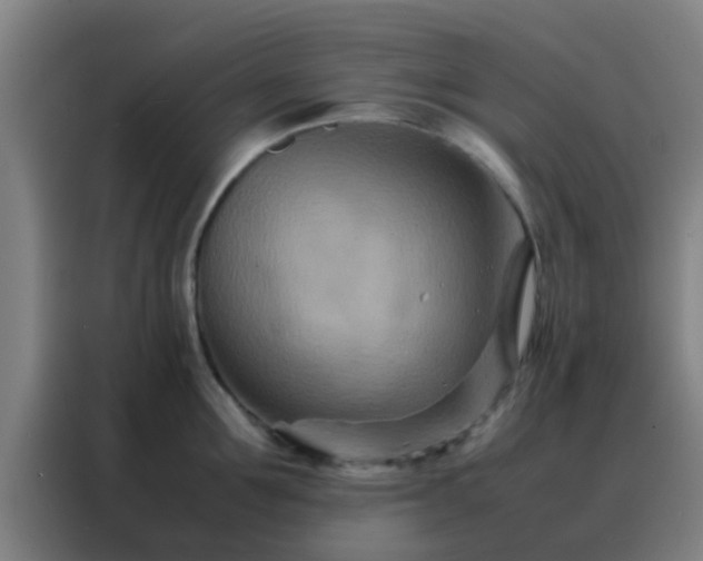 X0000088130907200705211113