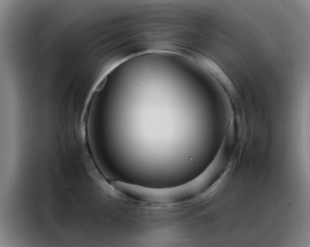 X0000088130908200705211113