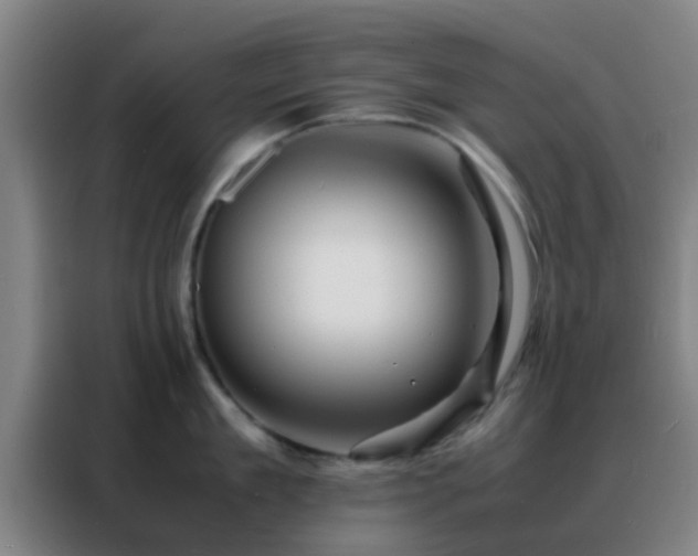 X0000088130909200705211113