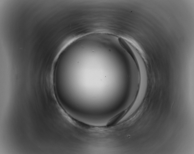 X0000088130910200705211113