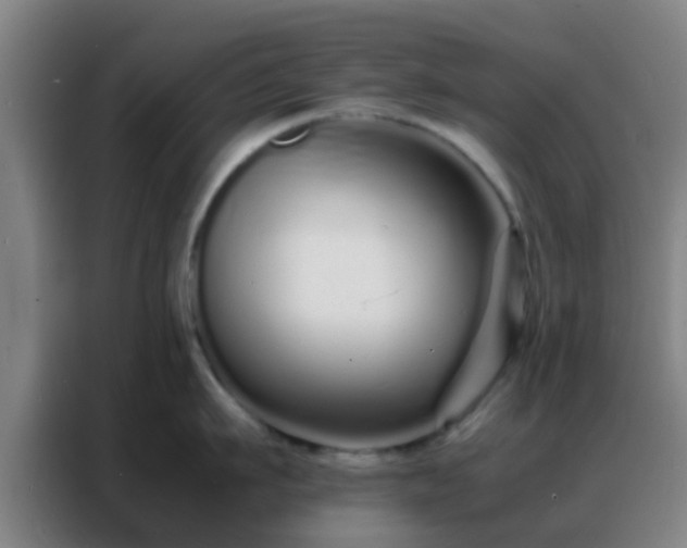 X0000088130911200705211113