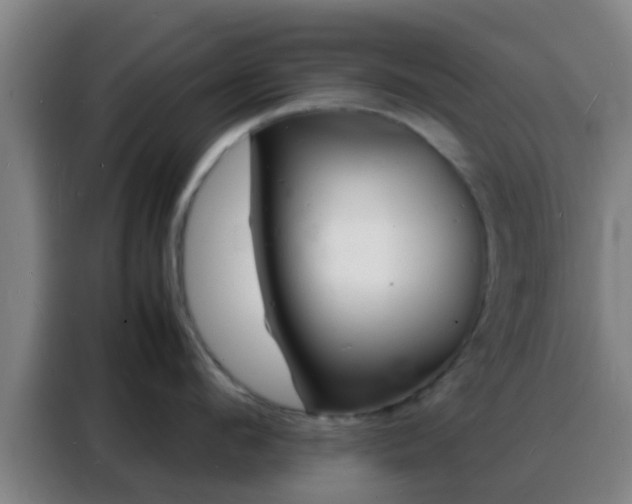 X0000088130912200705211113