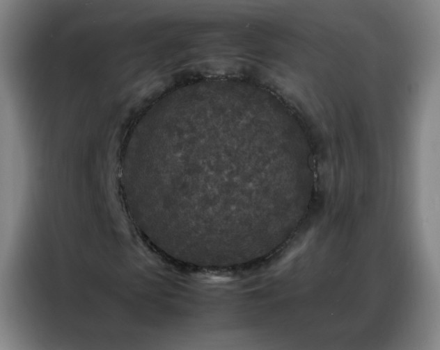 X0000088130913200705211112