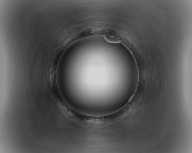 X0000088130914200705211112