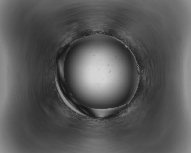 X0000088130916200705211112