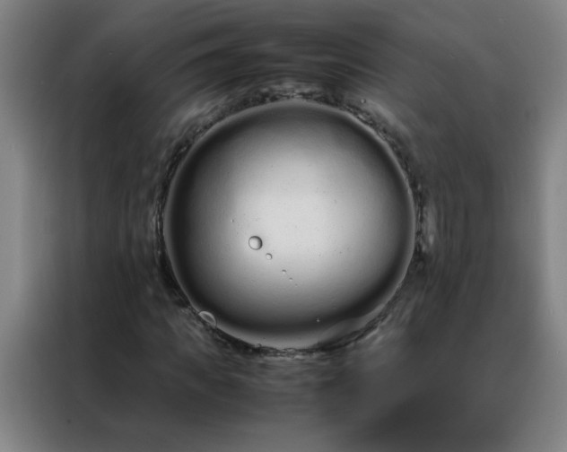 X0000088130917200705211112