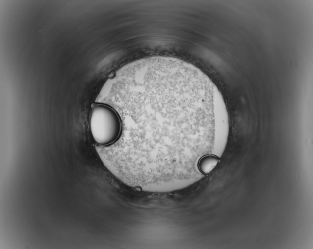 X0000088130918200705211112