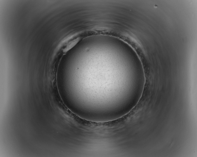 X0000088130920200705211112