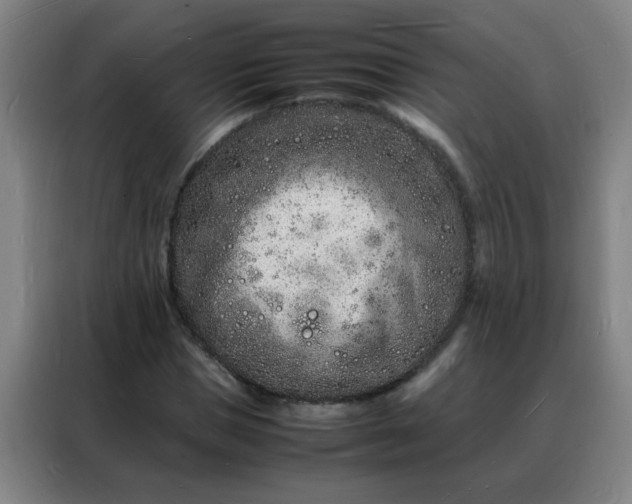 X0000088130921200705211112