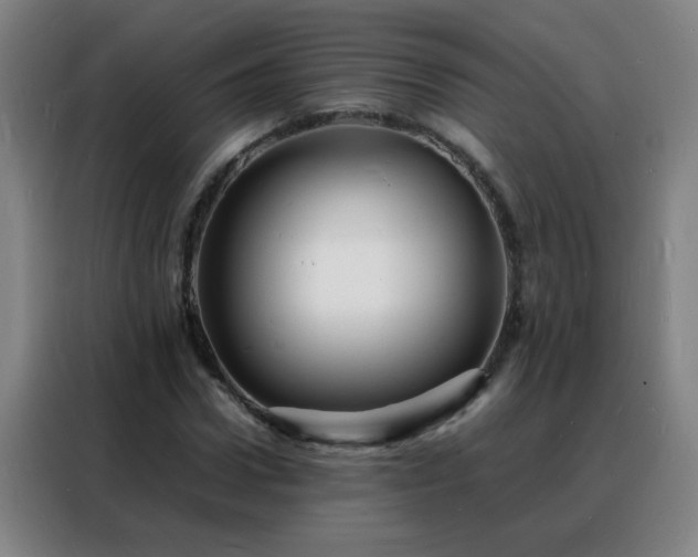 X0000088130922200705211112