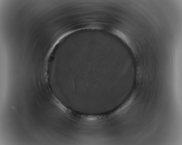 X0000088130923200705211112