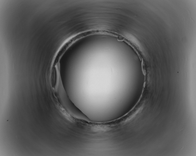 X0000088130924200705211112