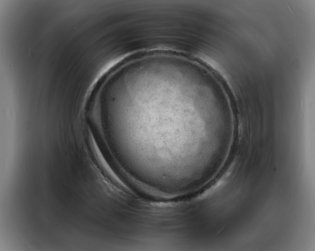 X0000088130925200705211113