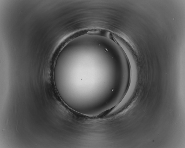 X0000088130926200705211113