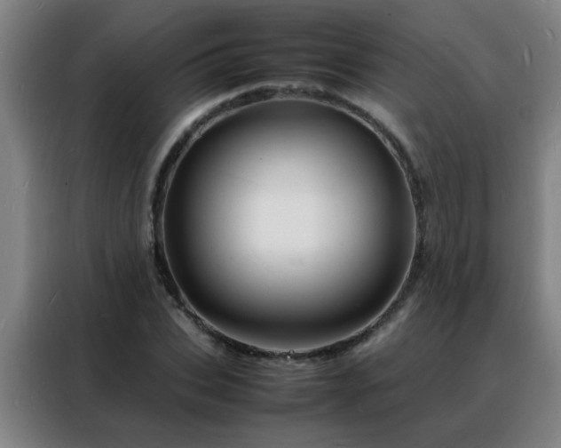 X0000088130927200705211113