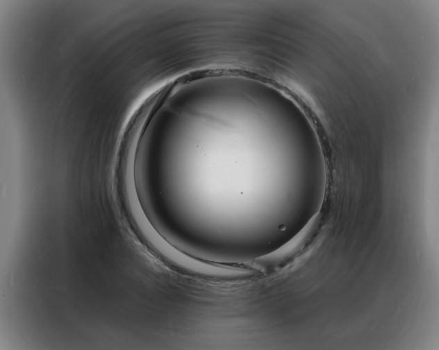 X0000088130928200705211113