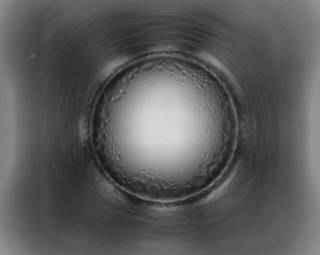 X0000088130929200705211113