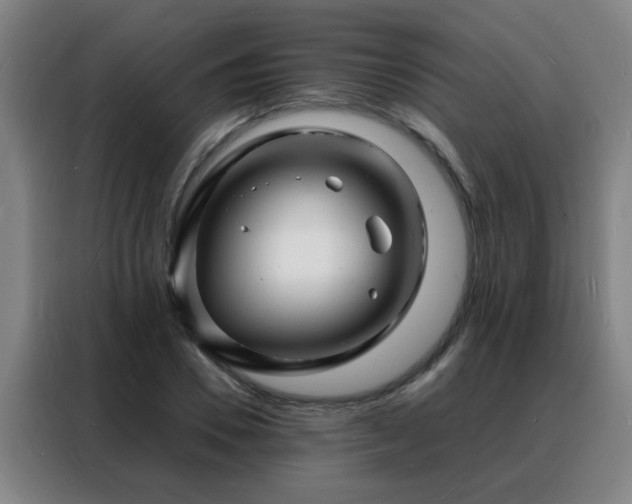 X0000088130930200705211113