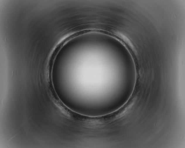 X0000088130931200705211113