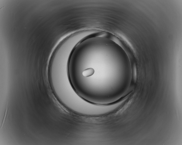 X0000088130932200705211113