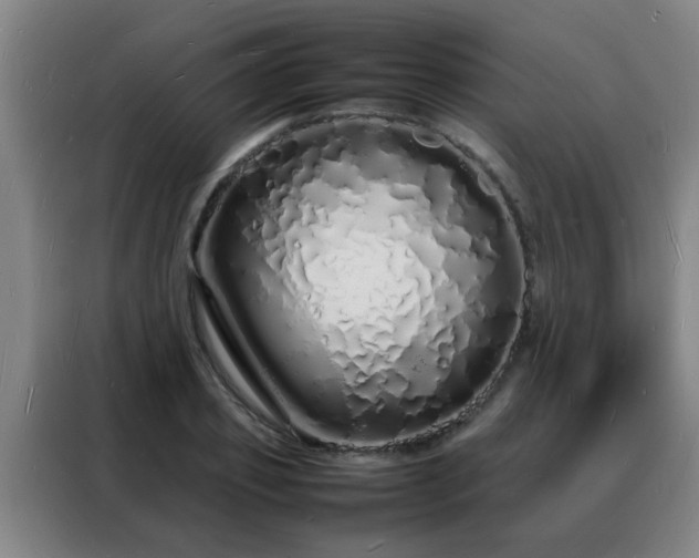 X0000088130933200705211113