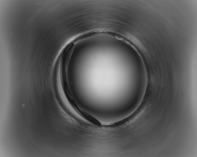 X0000088130934200705211113