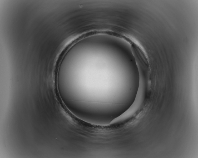 X0000088130935200705211113