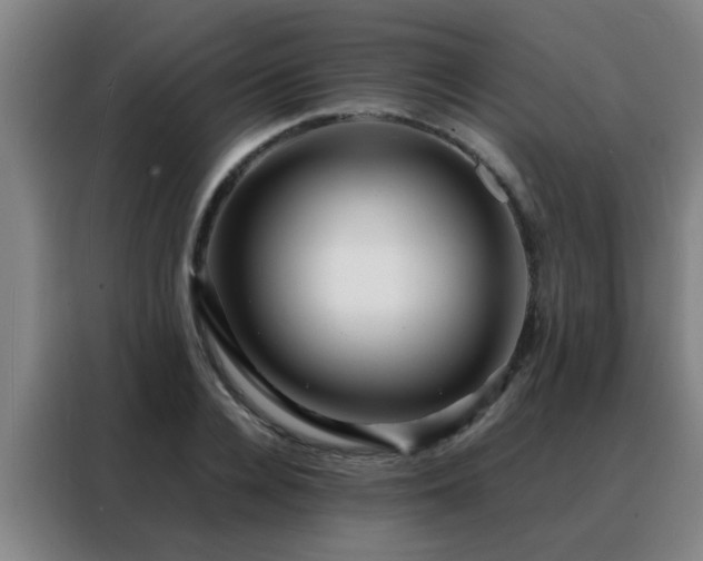 X0000088130936200705211113