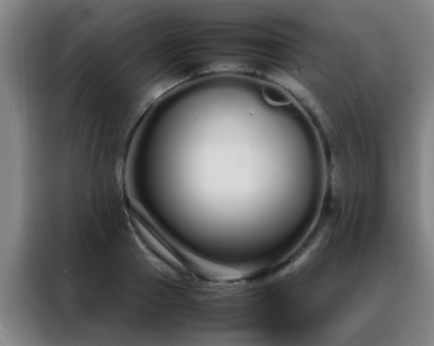 X0000088130937200705211113