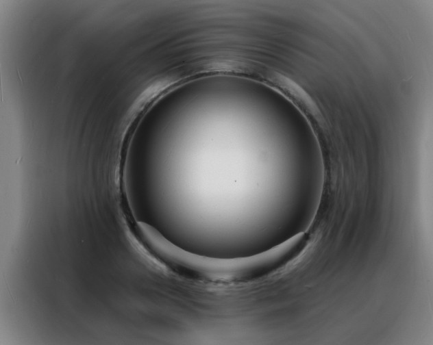 X0000088130938200705211113