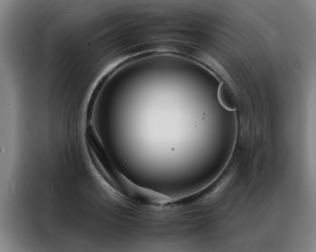 X0000088130939200705211113