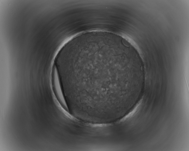 X0000088130941200705211113