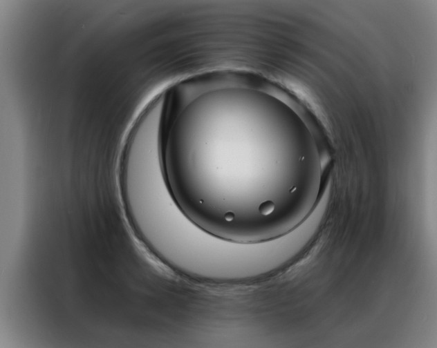 X0000088130942200705211113