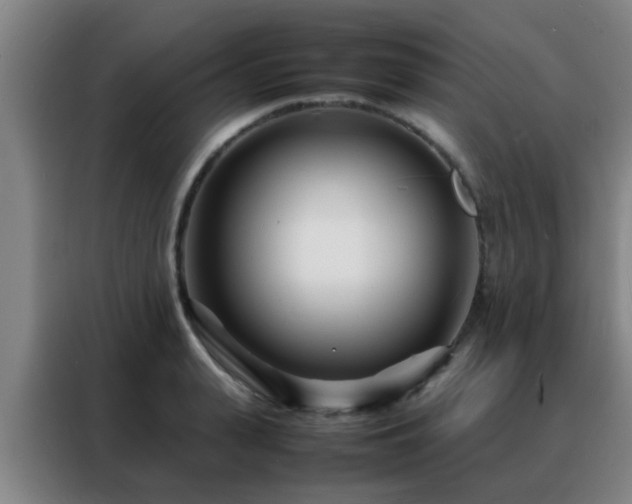 X0000088130943200705211113