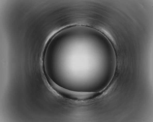 X0000088130944200705211113