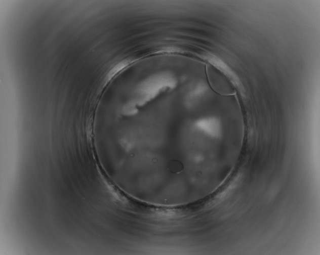 X0000088130945200705211113