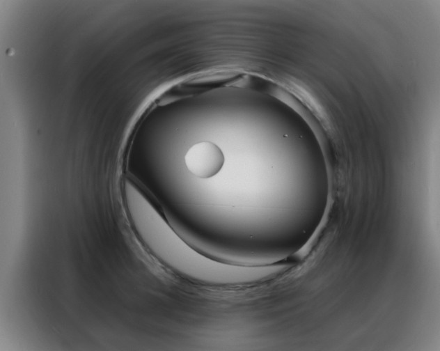 X0000088130948200705211113