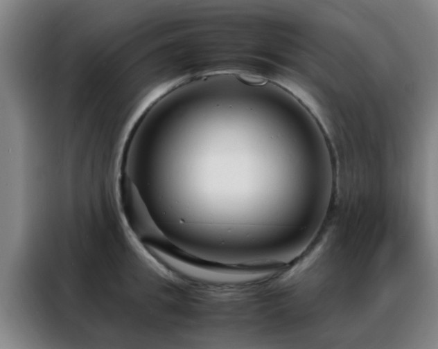 X0000088130949200705211113