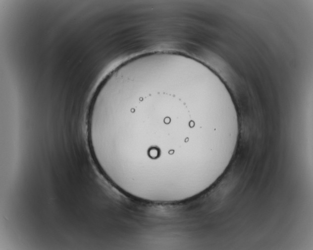 X0000088130950200705211113