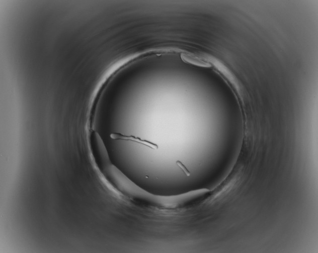 X0000088130951200705211113