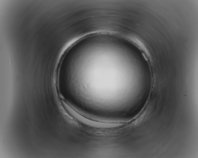 X0000088130952200705211113