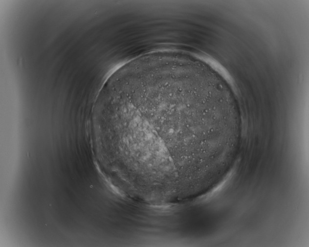 X0000088130953200705211113