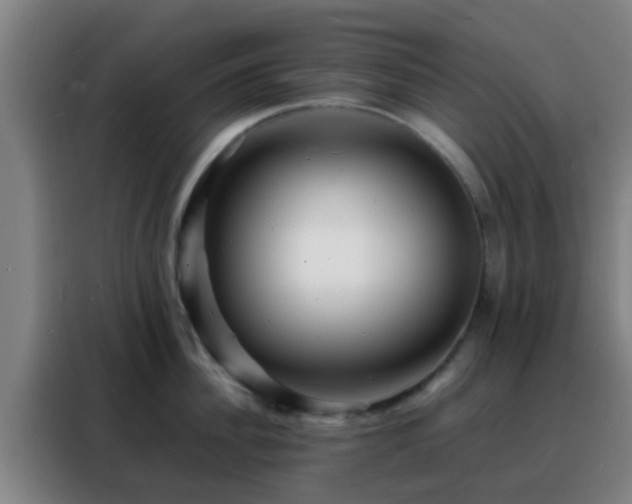 X0000088130956200705211113