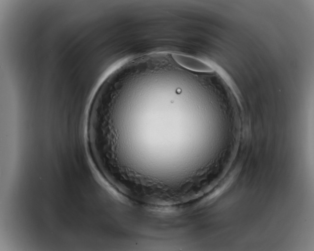 X0000088130957200705211113