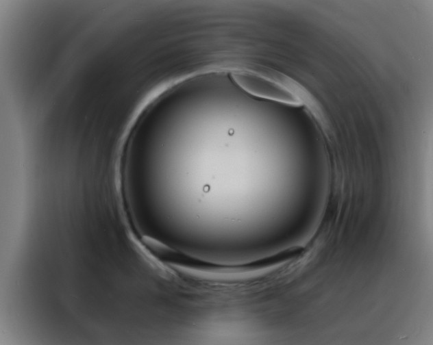 X0000088130958200705211113