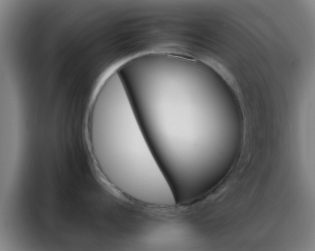 X0000088130960200705211113